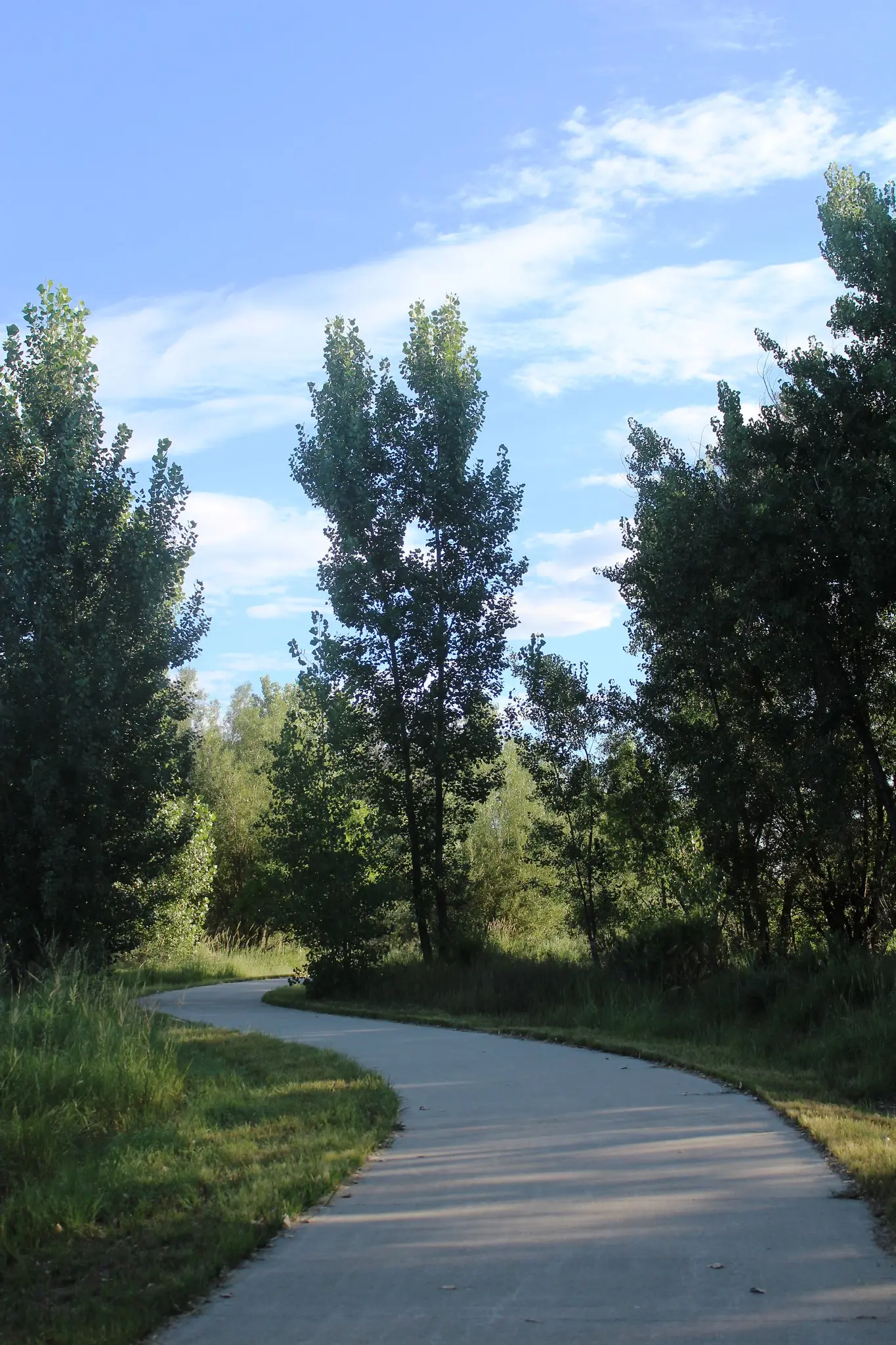 Winding paved path through green trees and grass under a bright sky.