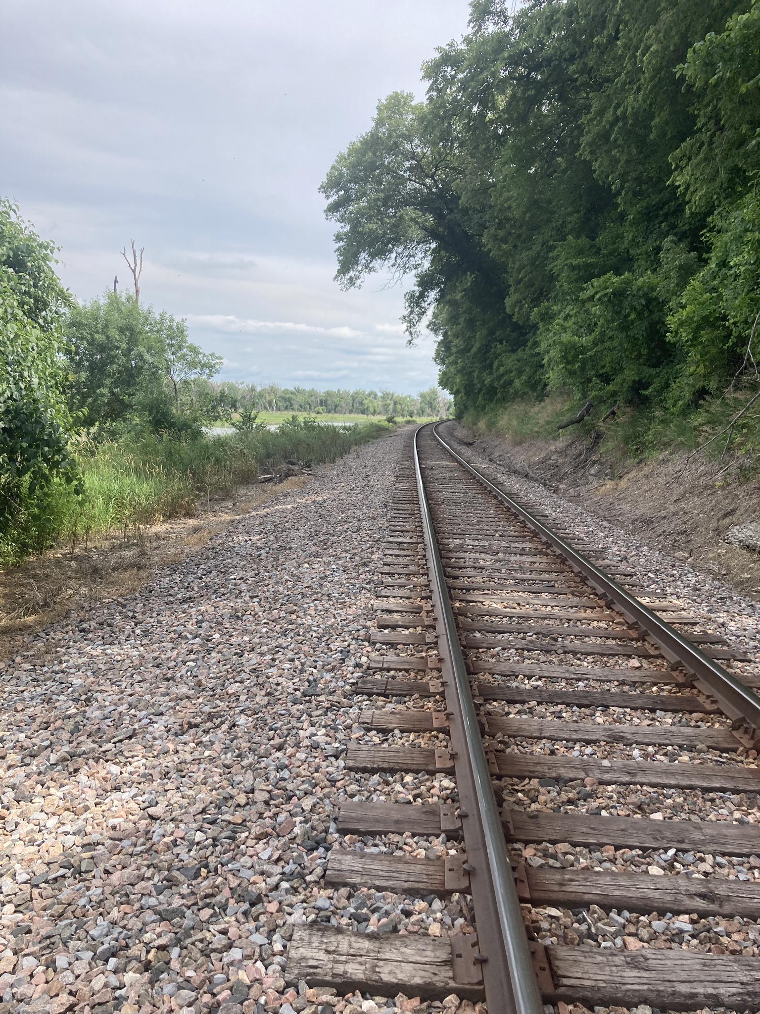 Railroad tracks curve through a green, overgrown landscape under a cloudy sky.