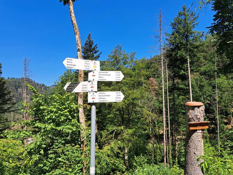 Witznau - Aichen. Steile aber geteerte Straße: Mountainbike-Touren | komoot