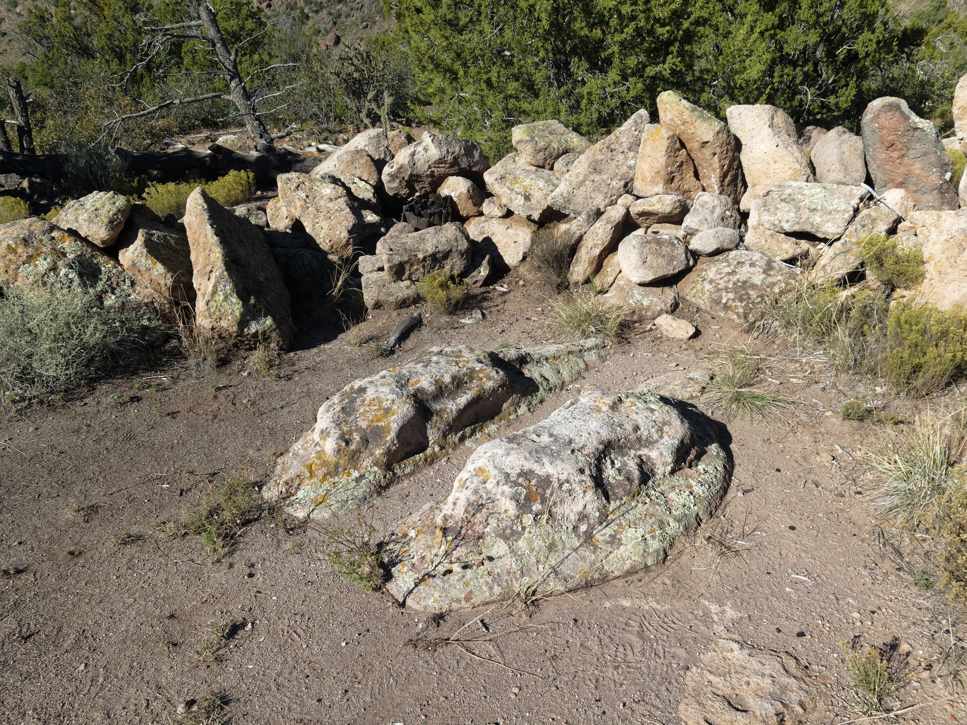 Two large, moss-covered rocks resembling animal shapes lie on sandy ground.