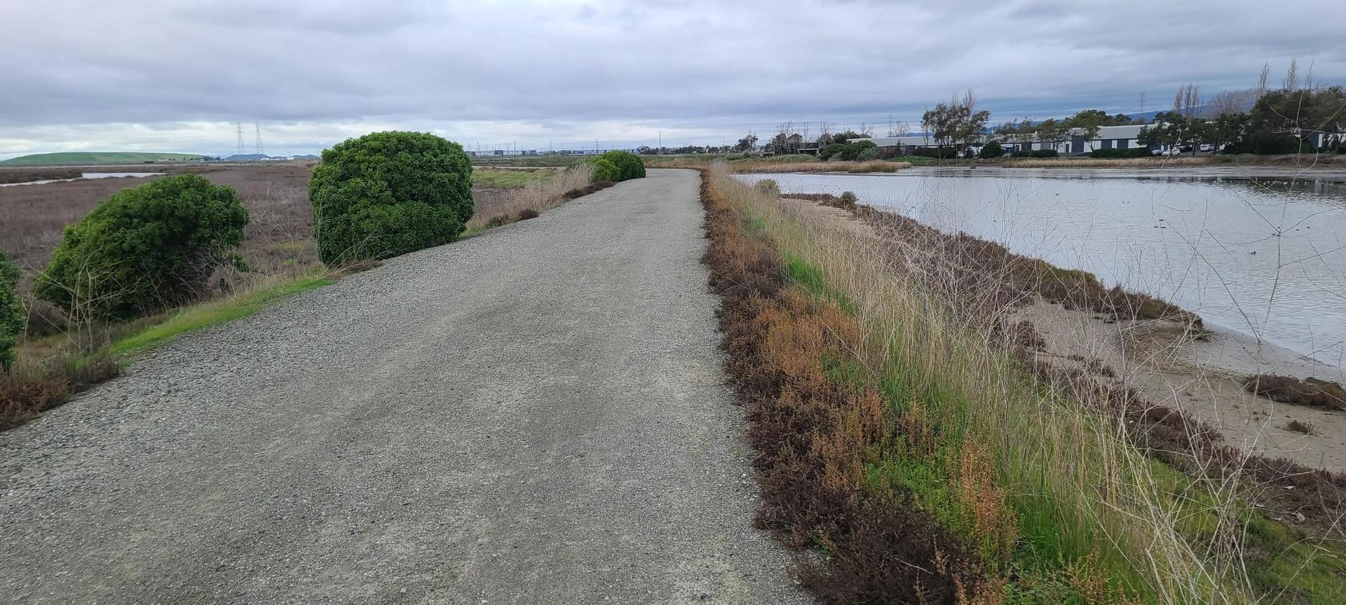 Gravel path alongside calm water and marsh grass under an overcast sky.