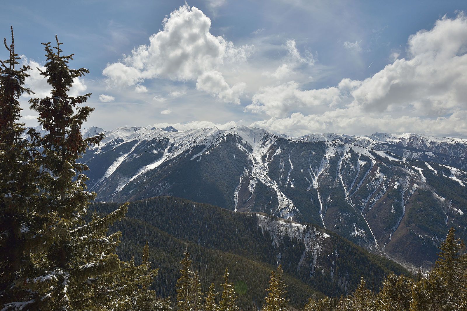 Snow-capped mountains under a partly cloudy sky, with pine trees in foreground. - Ute Trail