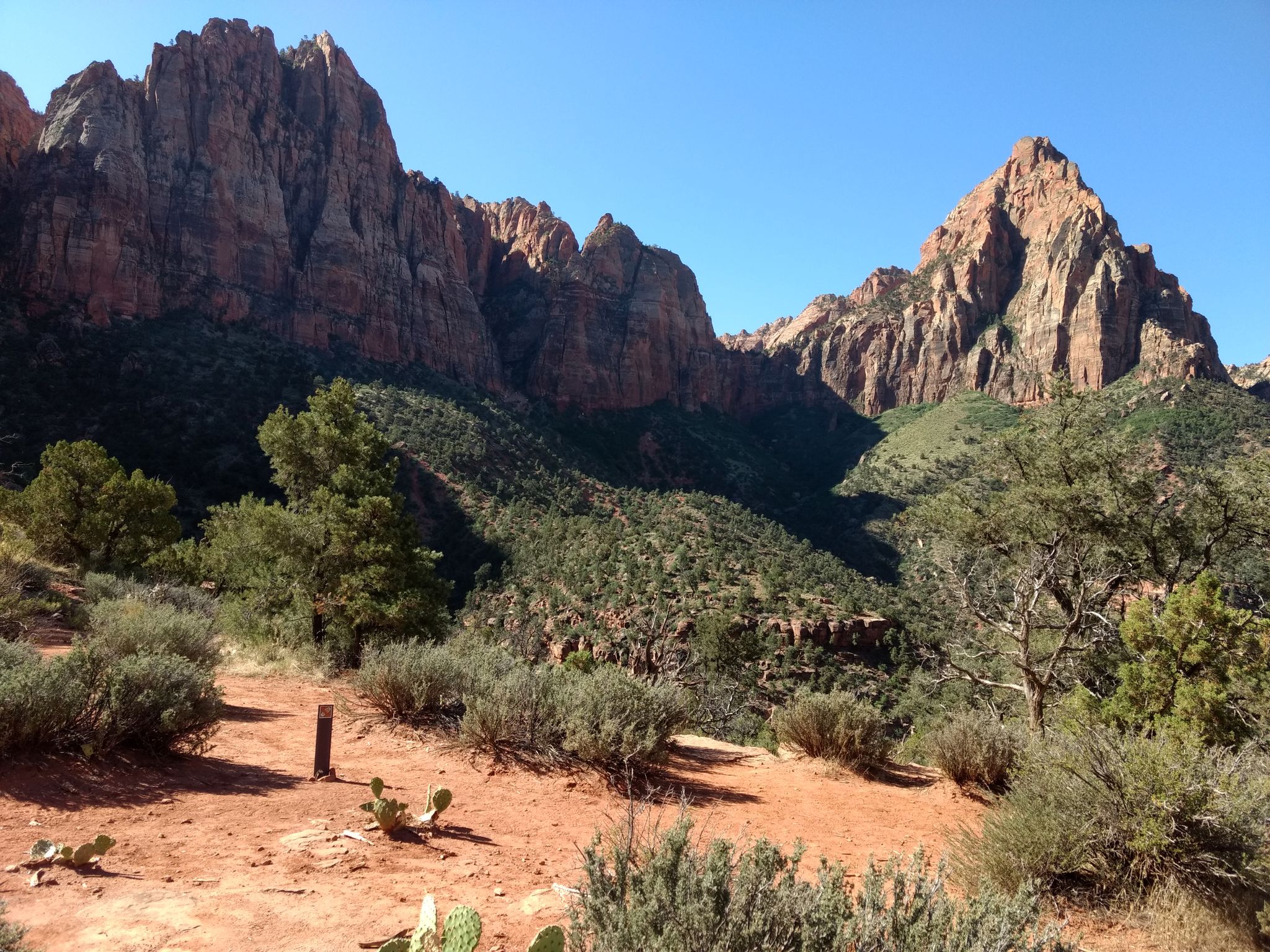 Rugged red rock peaks rise above a desert landscape with green shrubs and trees. - Watchman Trail