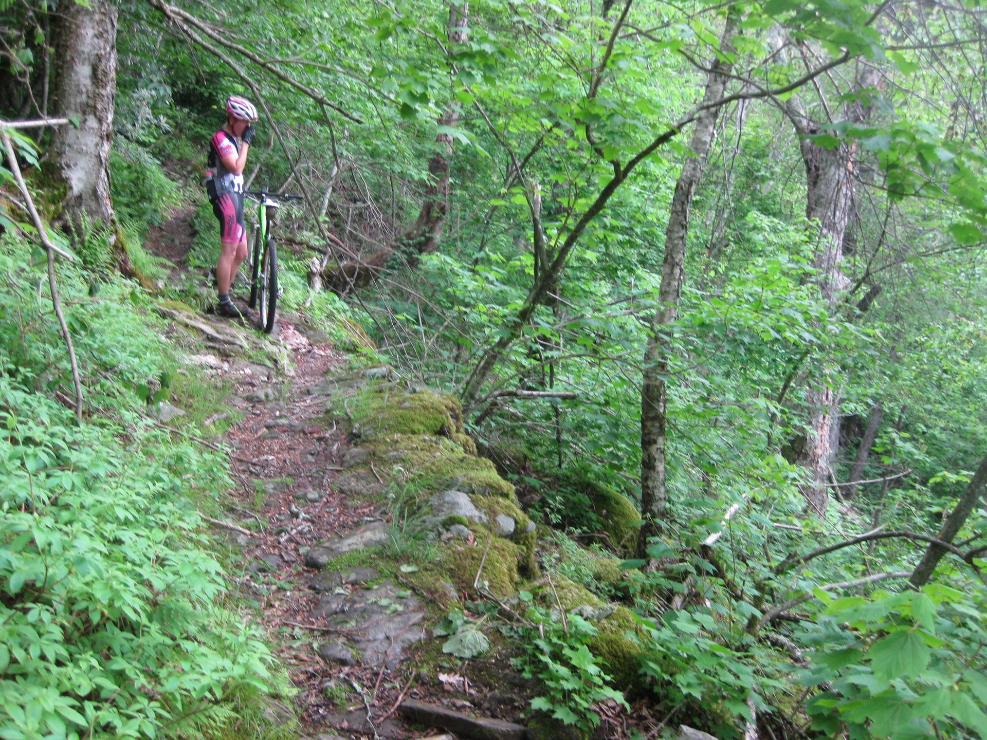 Mountain biker standing with bike on a narrow, mossy forest path.