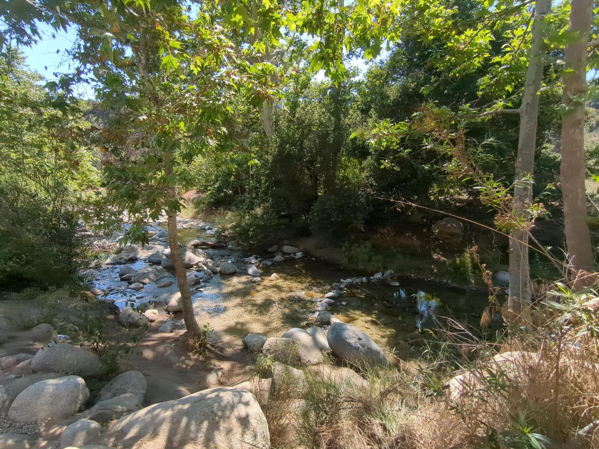 Sunny view of a rocky stream flowing through a lush, wooded area.
