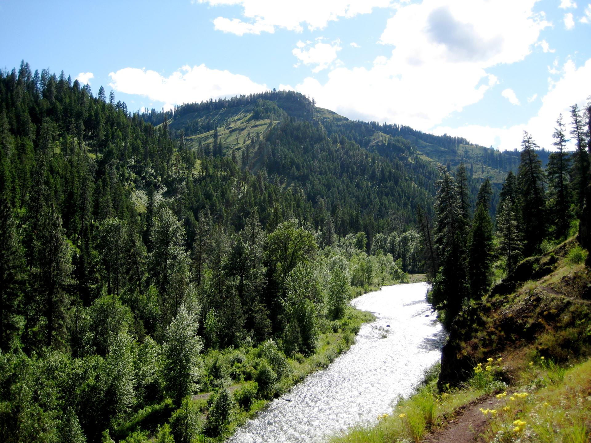 A winding river flows through a lush, forested mountain valley on a sunny day.