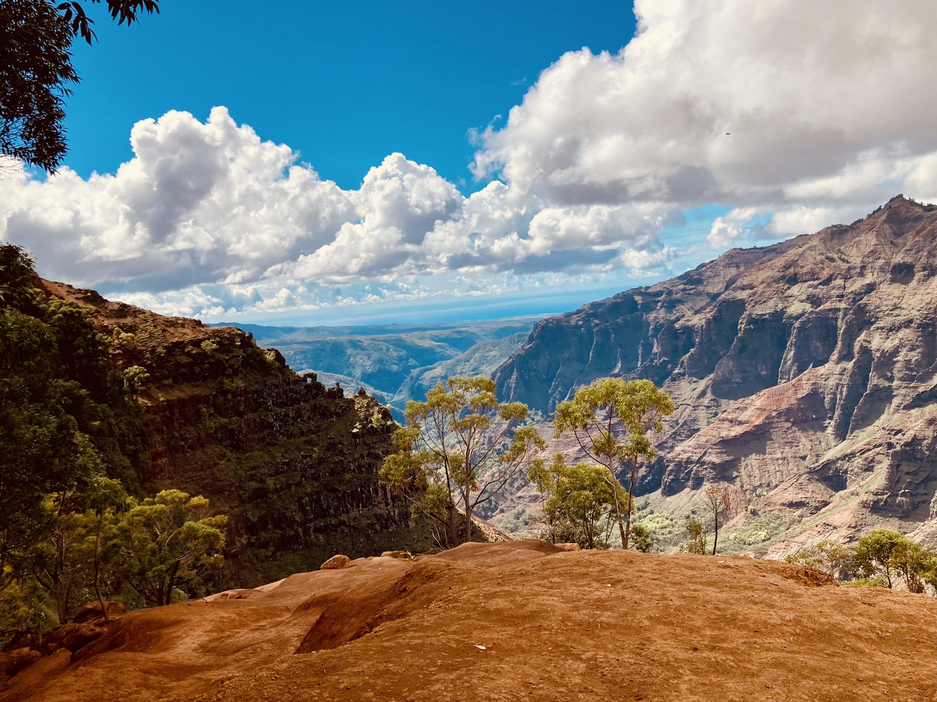 Bright sunny day over a vast canyon with red earth, green trees, and distant ocean.