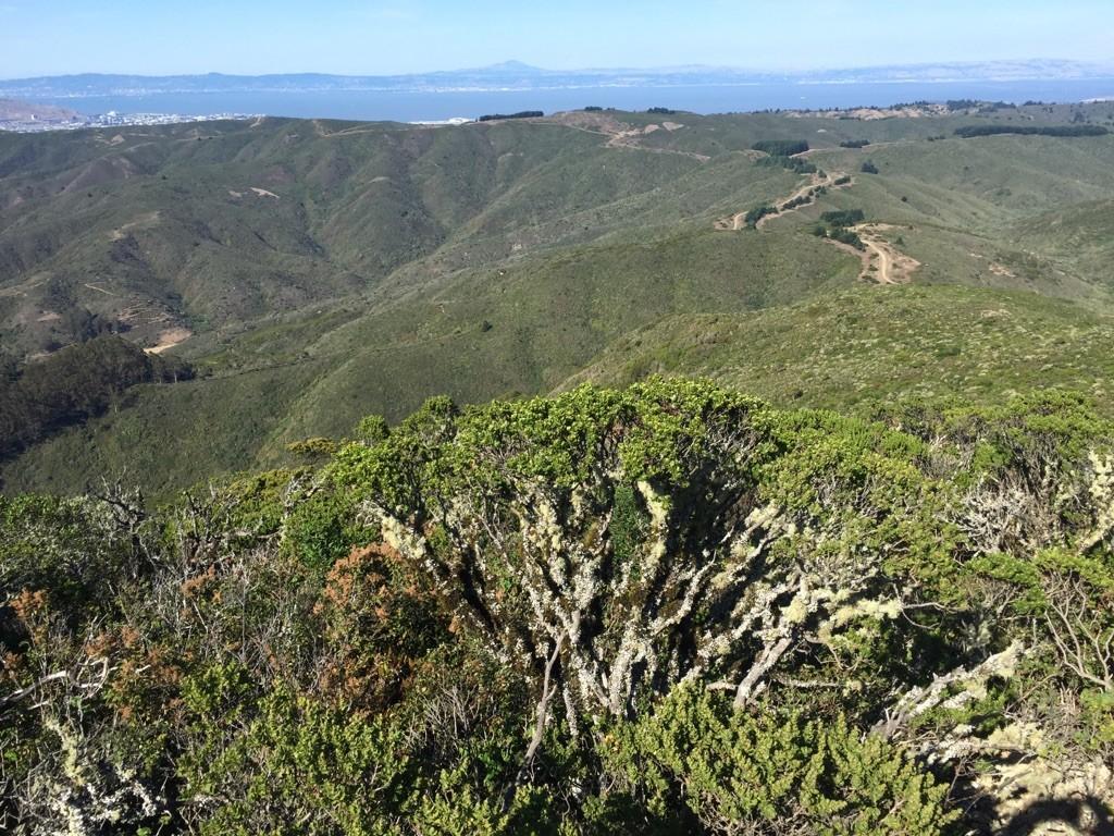Panoramic view of green hills, distant water, and clear blue sky.