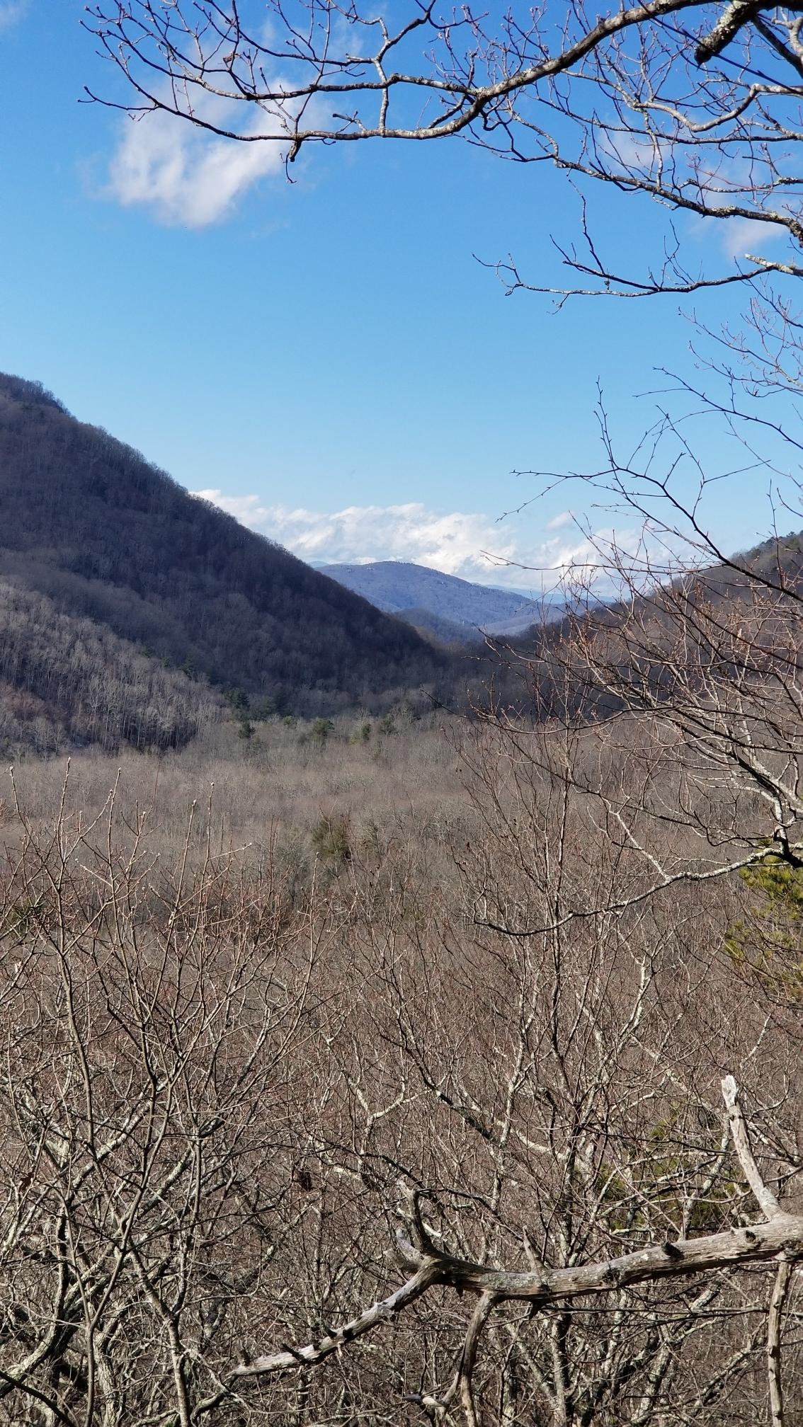 A mountain valley with bare trees under a bright blue sky with clouds.