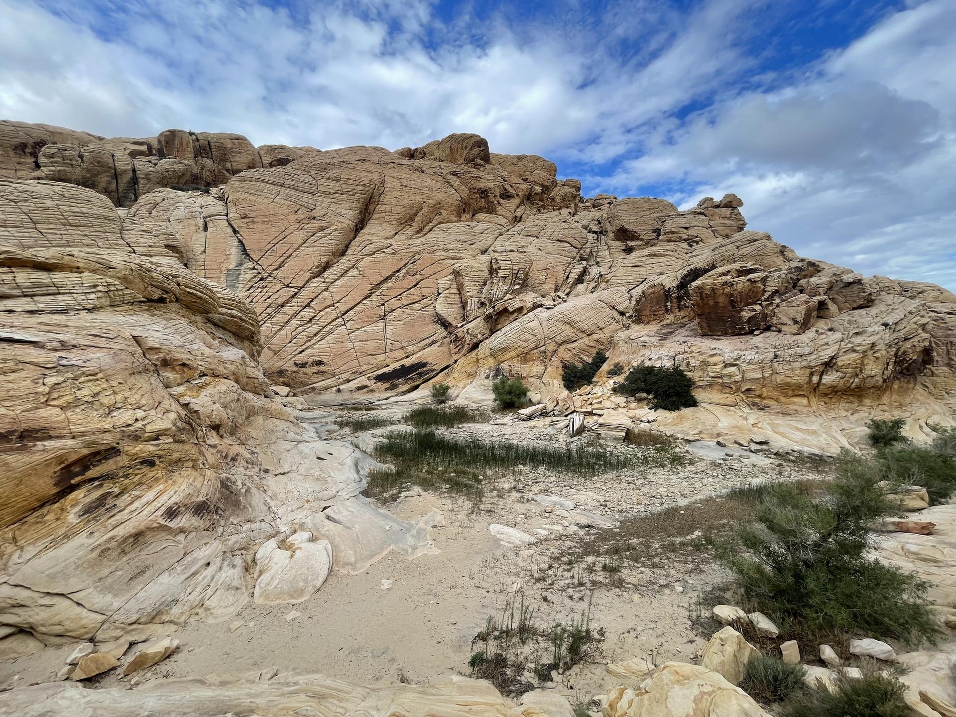 Layered rock formations surround a small pool of water with green reeds.