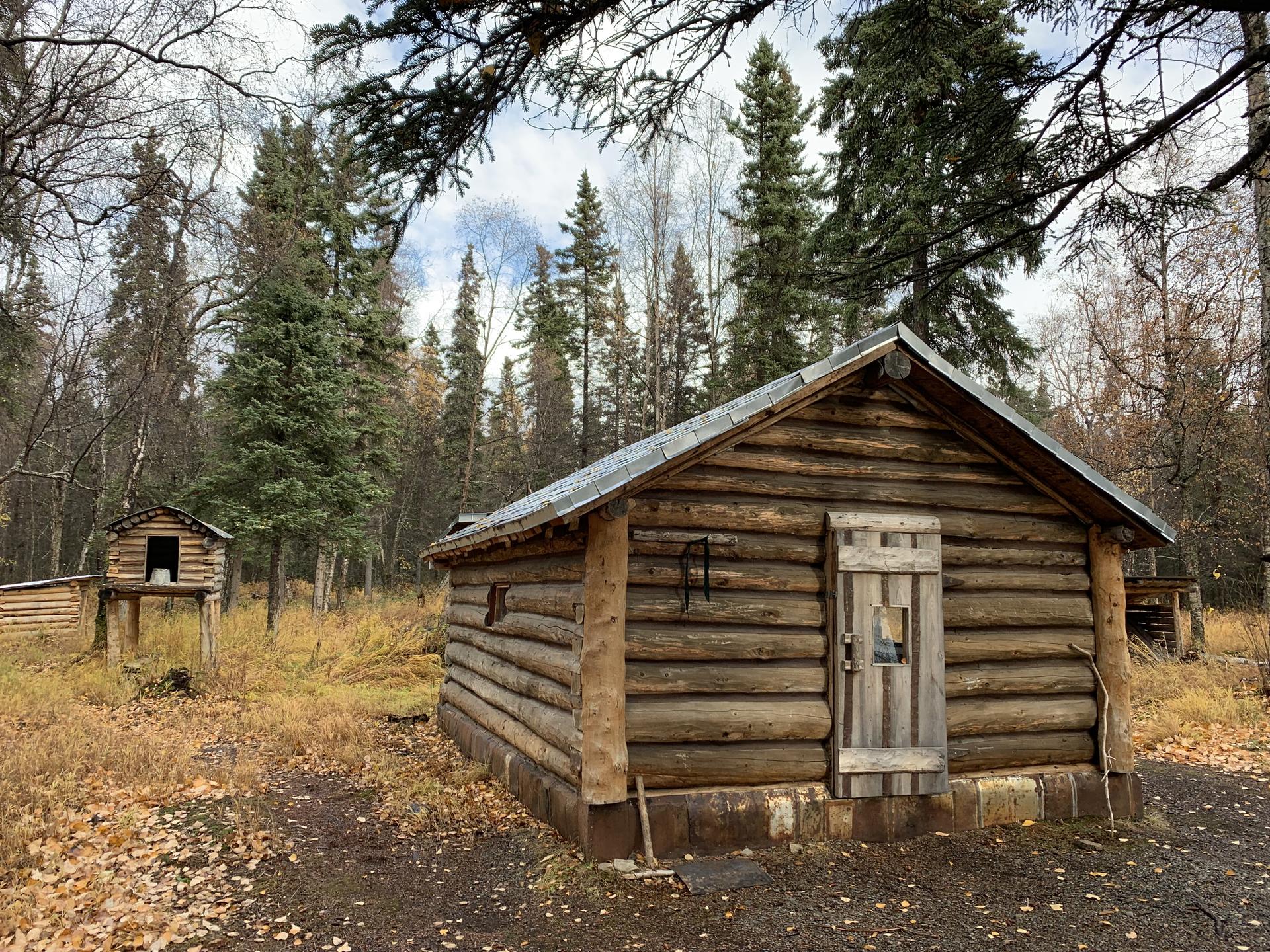 Two rustic log cabins in a clearing with autumn trees under an overcast sky.