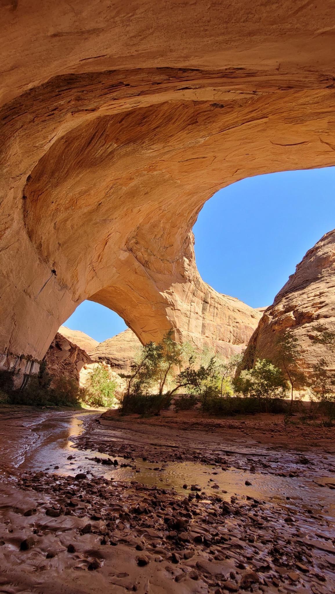 Majestic natural rock arches span a wet canyon floor with green trees.