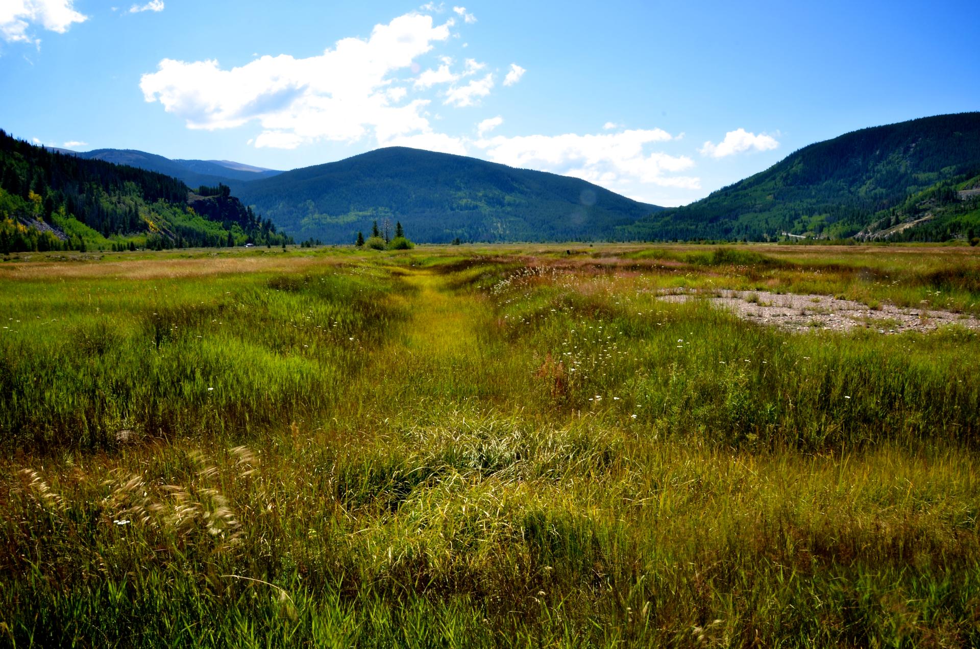 A wide, sunny green meadow with distant mountains under a blue sky.