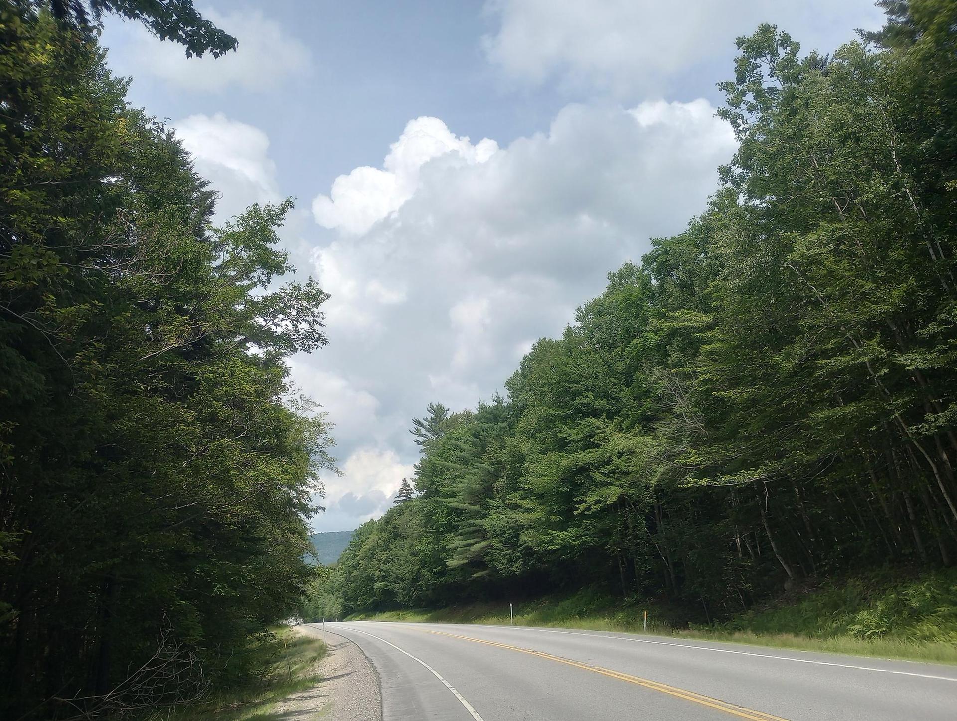 Paved road curving through a dense green forest under a cloudy sky.