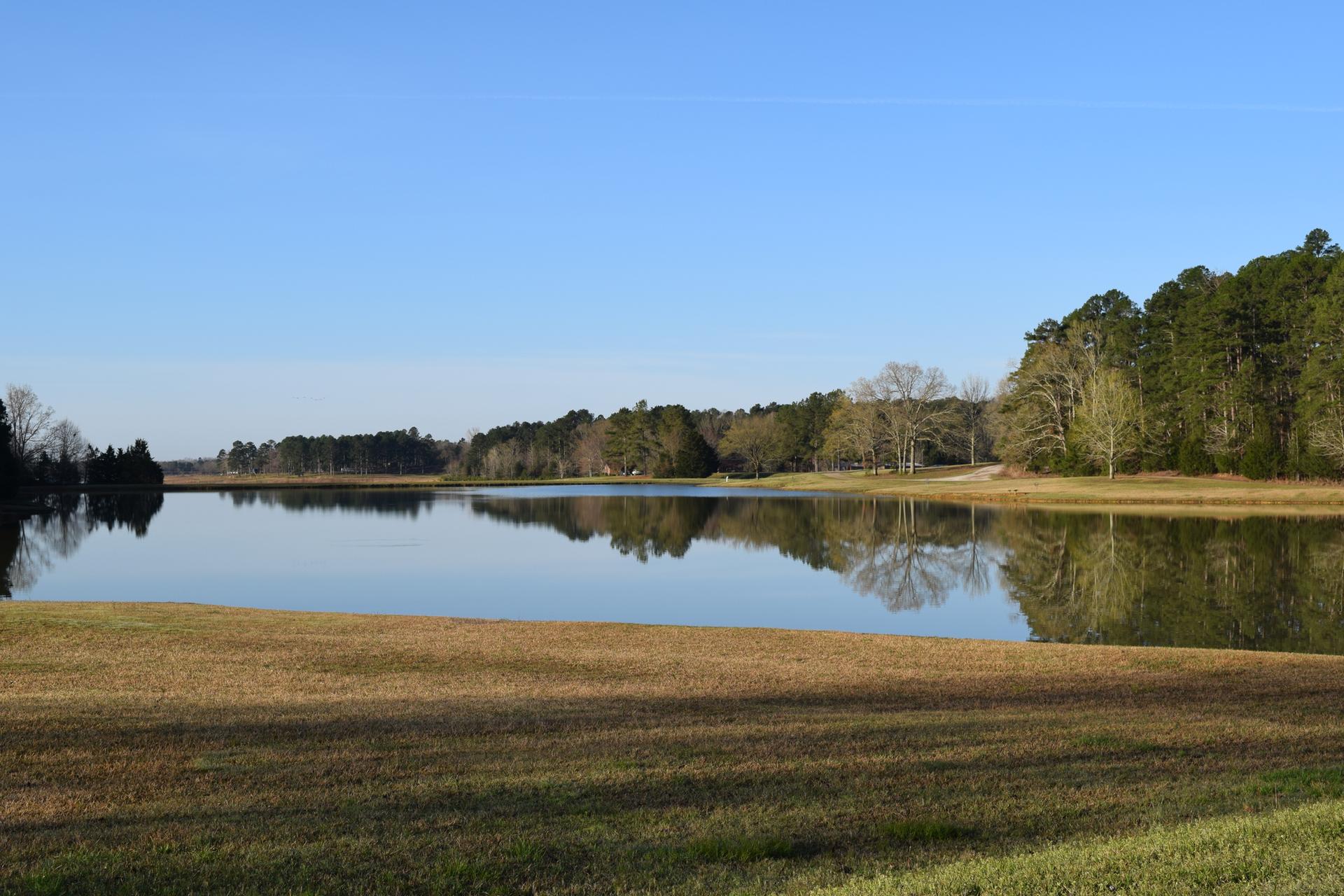 Calm lake reflecting trees under a clear blue sky, with sunlit grassy banks.