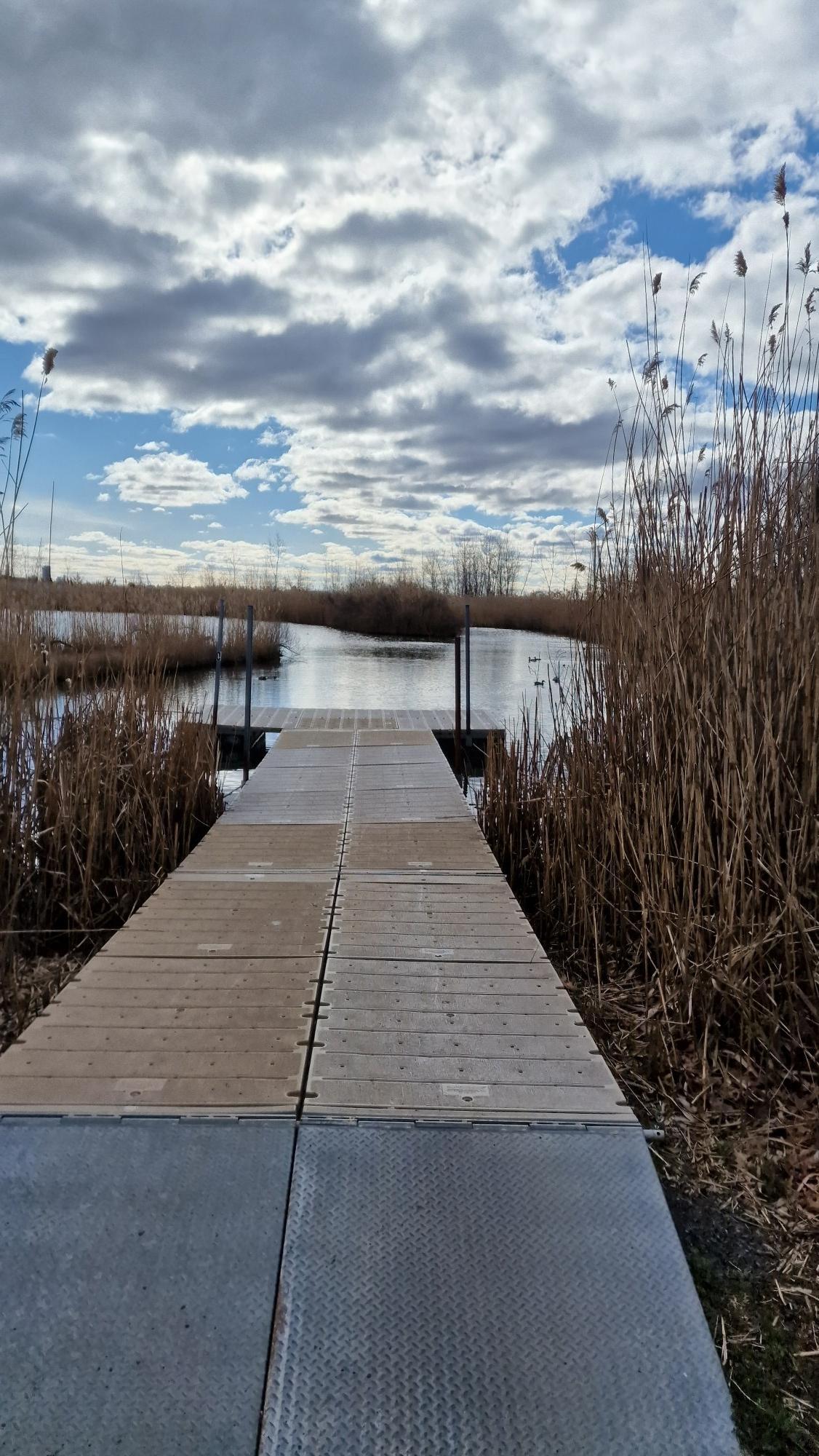 Wooden boardwalk extends into a marshy lake surrounded by tall reeds.