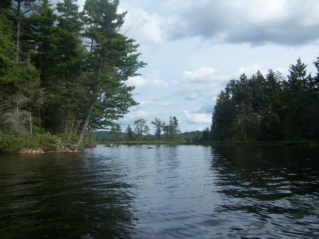 Dark water surrounded by dense evergreen forests under a cloudy sky.