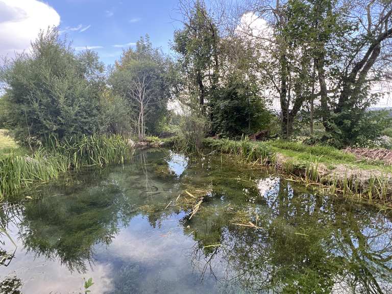 Forellenteich Wanderungen und Rundwege komoot