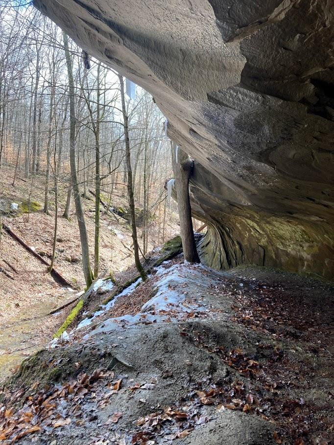 Forest scene with a massive rock overhang, bare trees, and snowy ground.