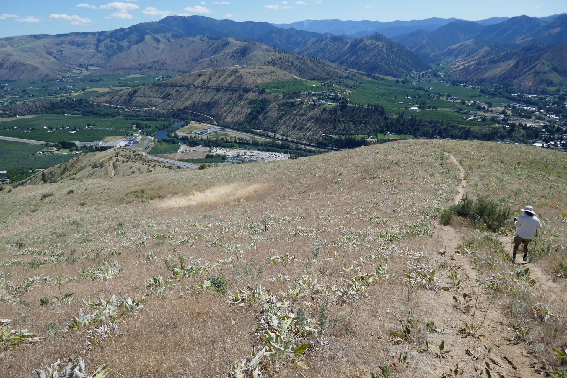 Person hiking a sunny, dry trail with trekking poles, overlooking a valley.