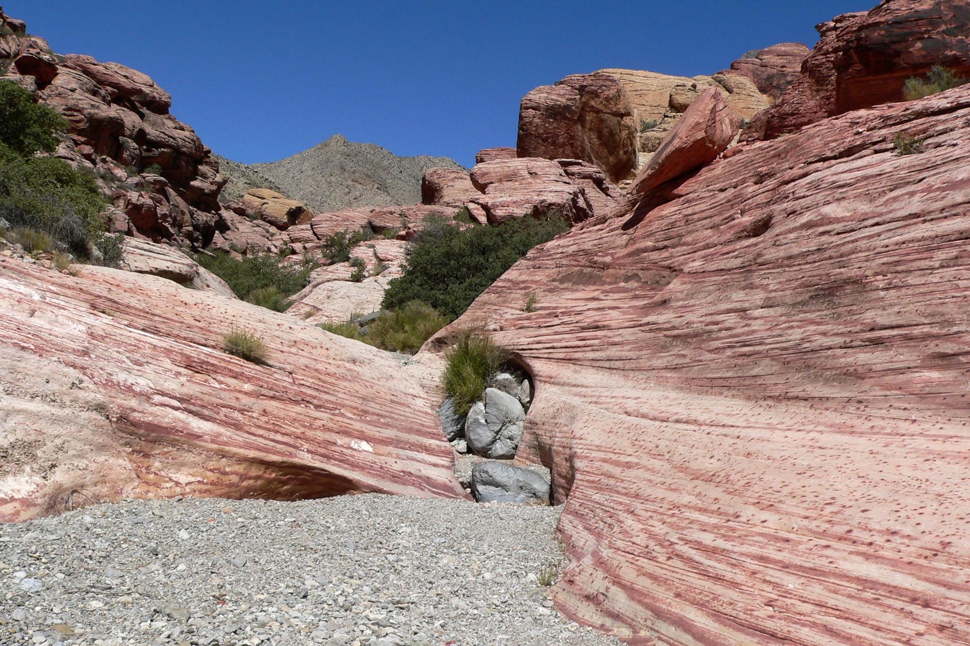 A narrow desert wash with striped red rock walls under a clear sky.