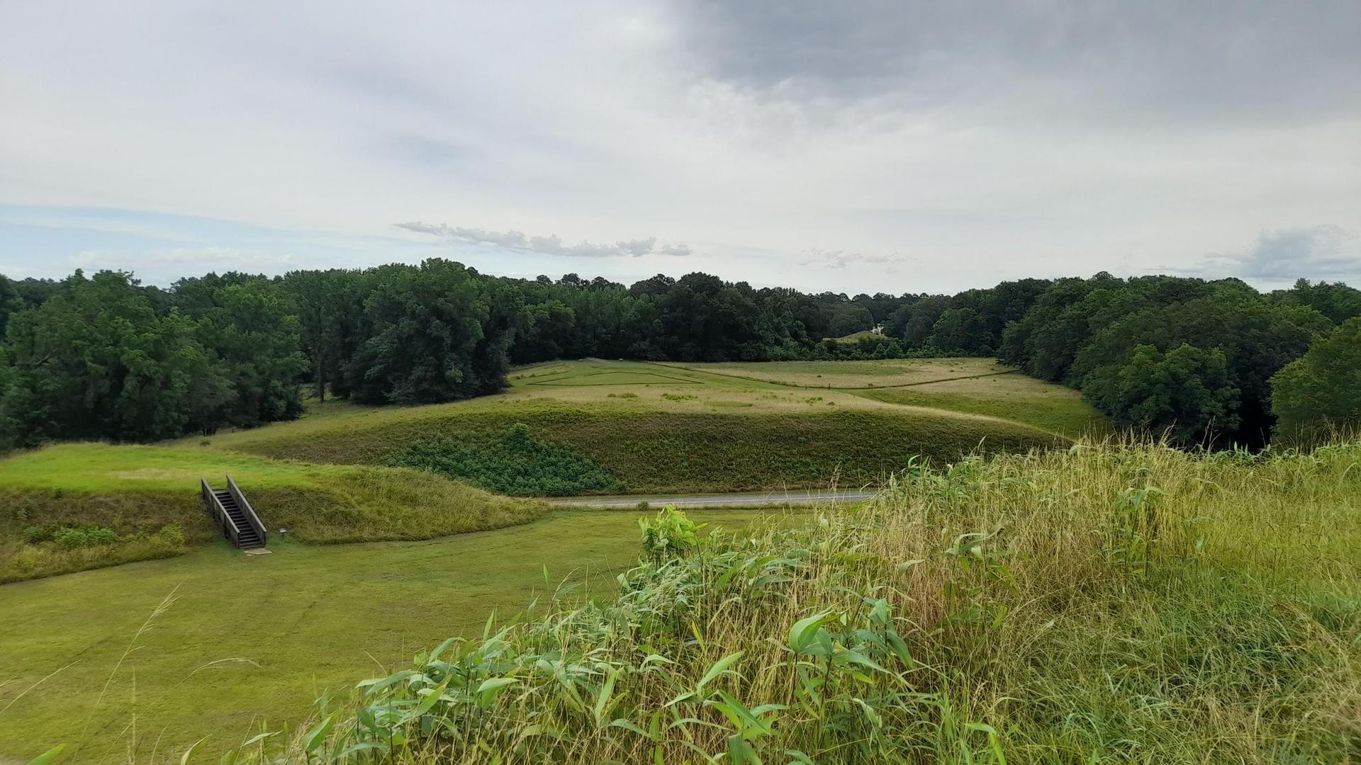 Overcast view of grassy mounds and distant forest from a hill.