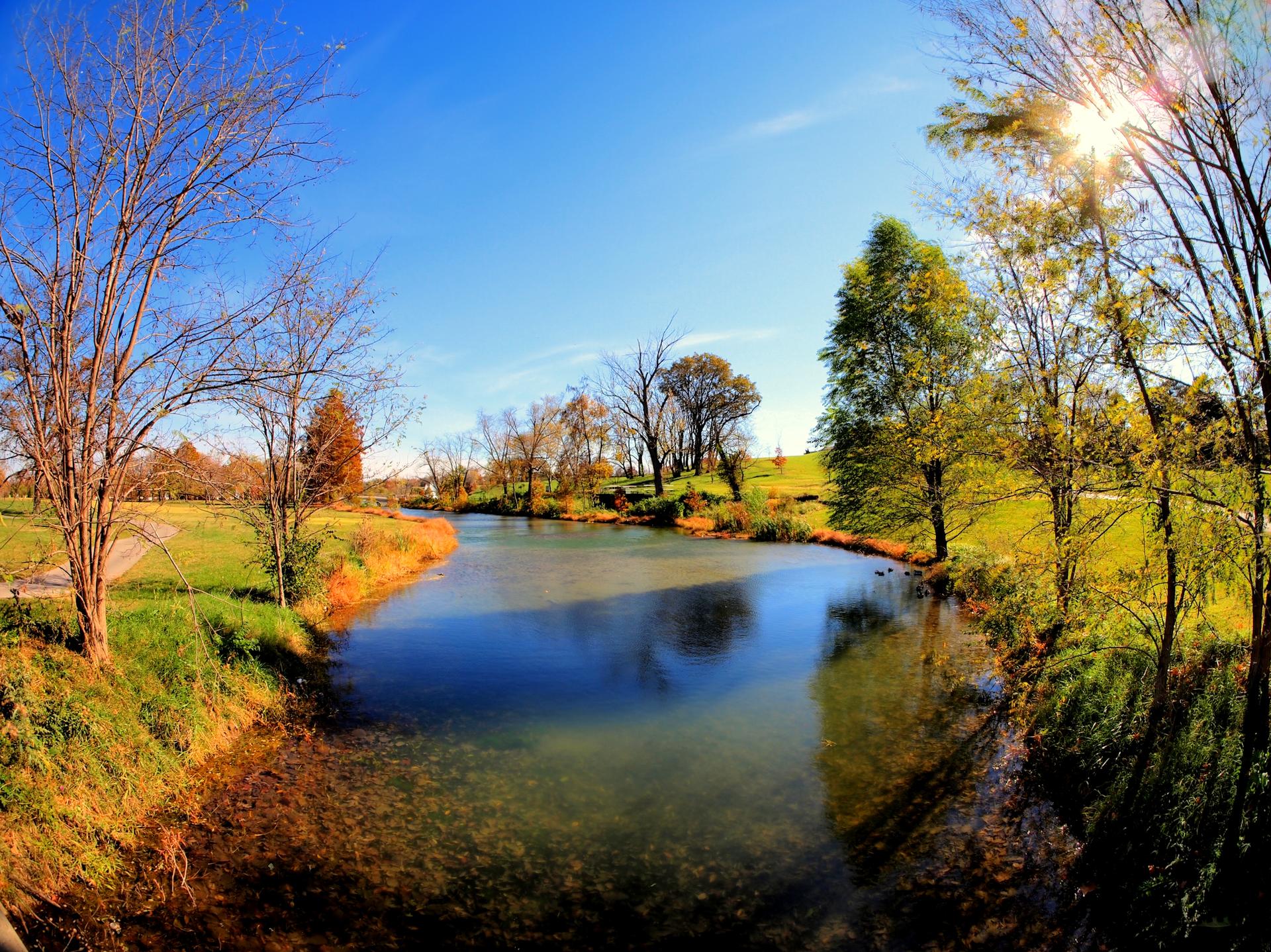 Sunny river landscape with trees and bright blue sky, sun flaring.
