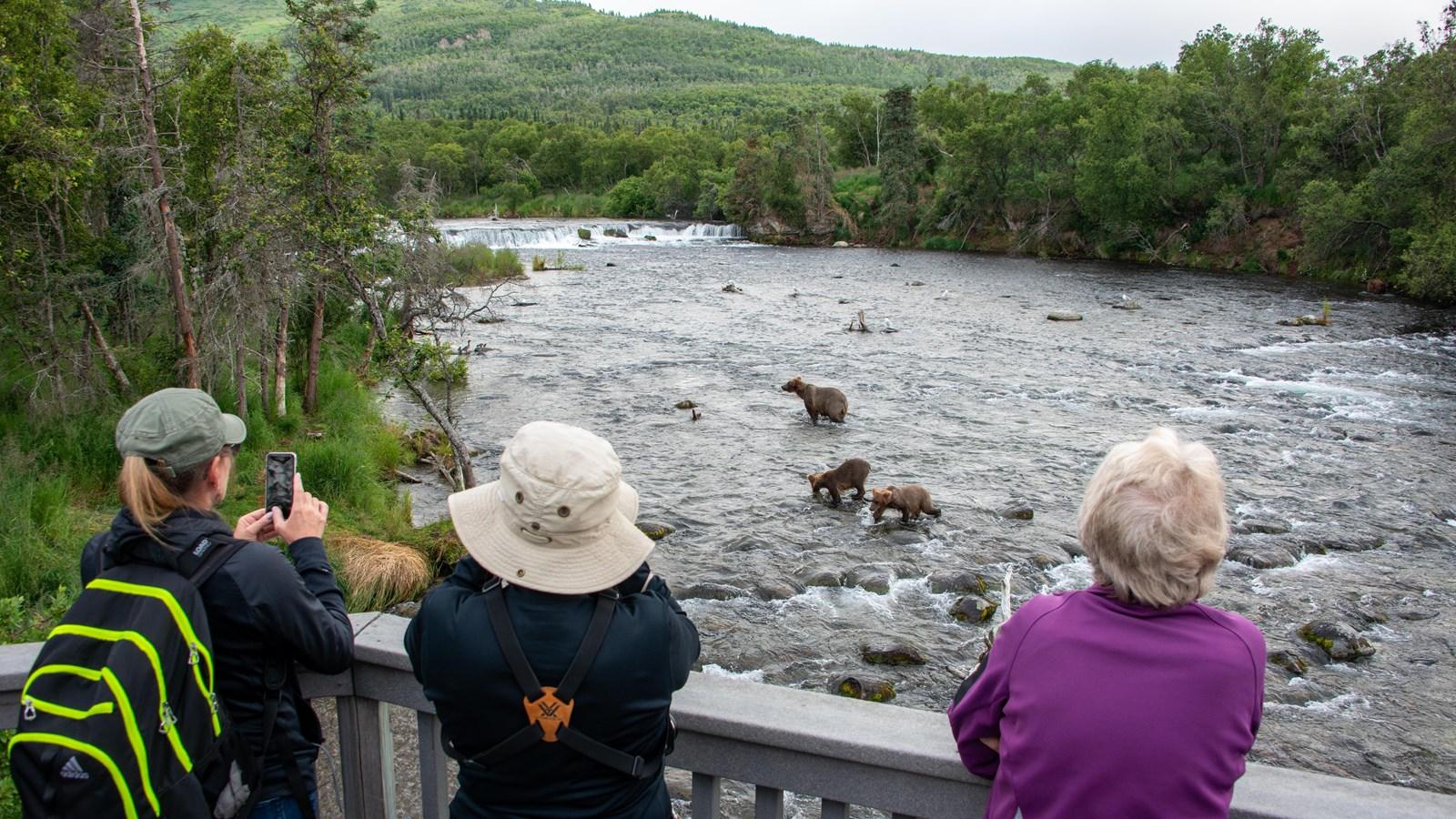 Three people on a platform watch bears wading in a wide river.