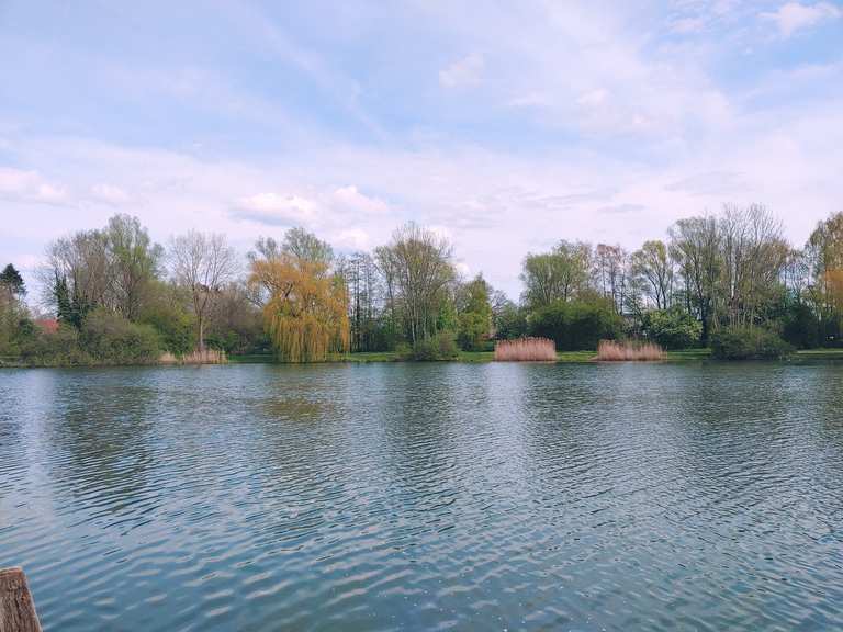 Sulinger Stadtsee : Radtouren und Radwege | komoot