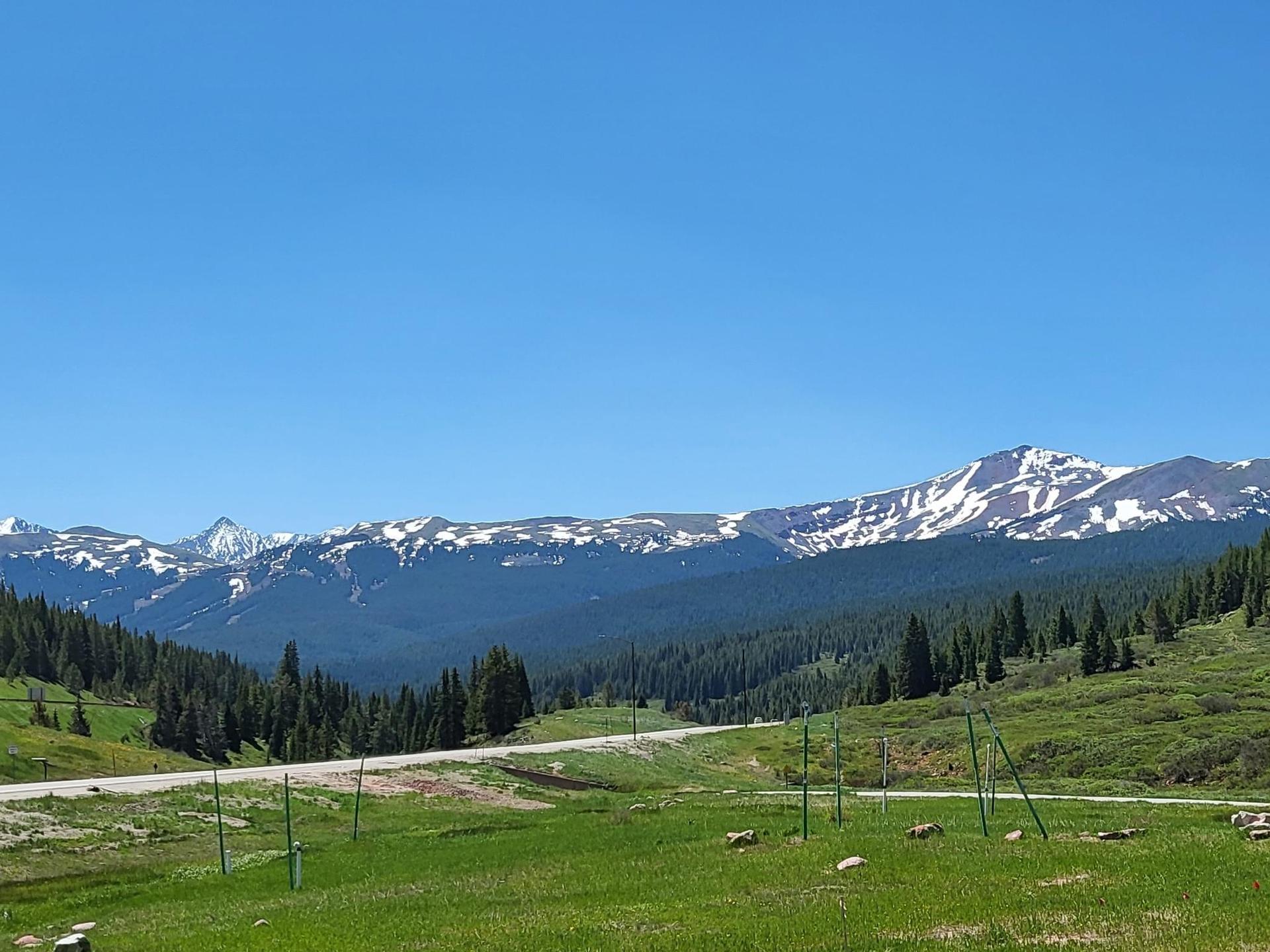 Panoramic view of snow-capped mountains above a green valley and dense pine forest.