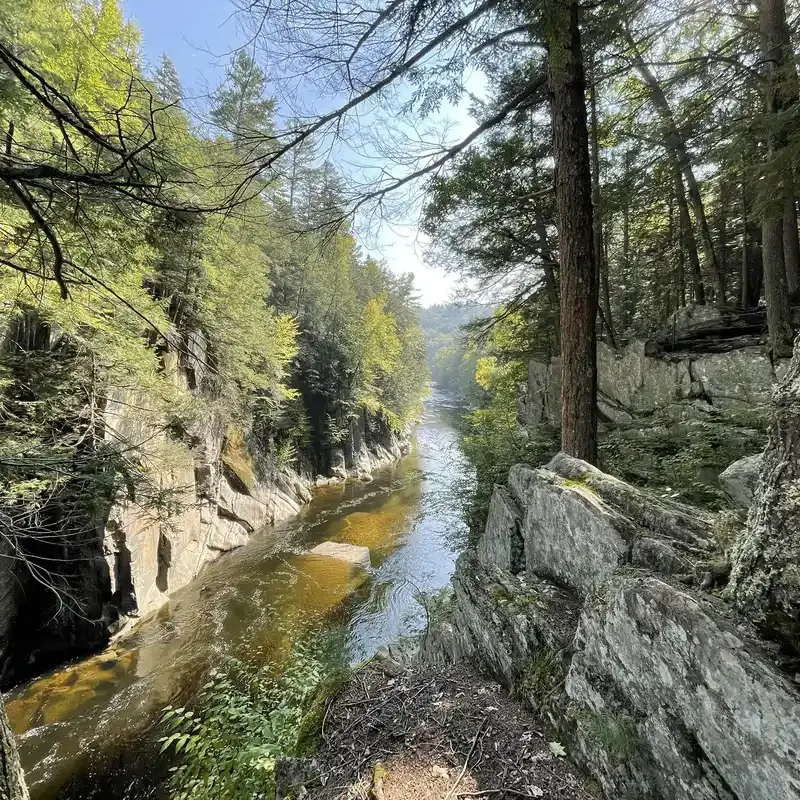 A river flows through a rocky, tree-lined gorge under bright sunlight.