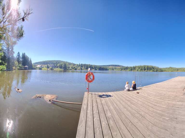Edlesberger Teich MountainbikeTouren und Trails komoot