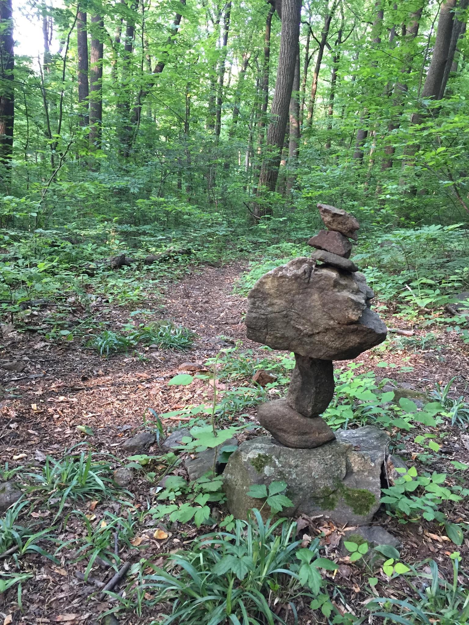 Stacked rocks on a forest floor next to a path, surrounded by green foliage.