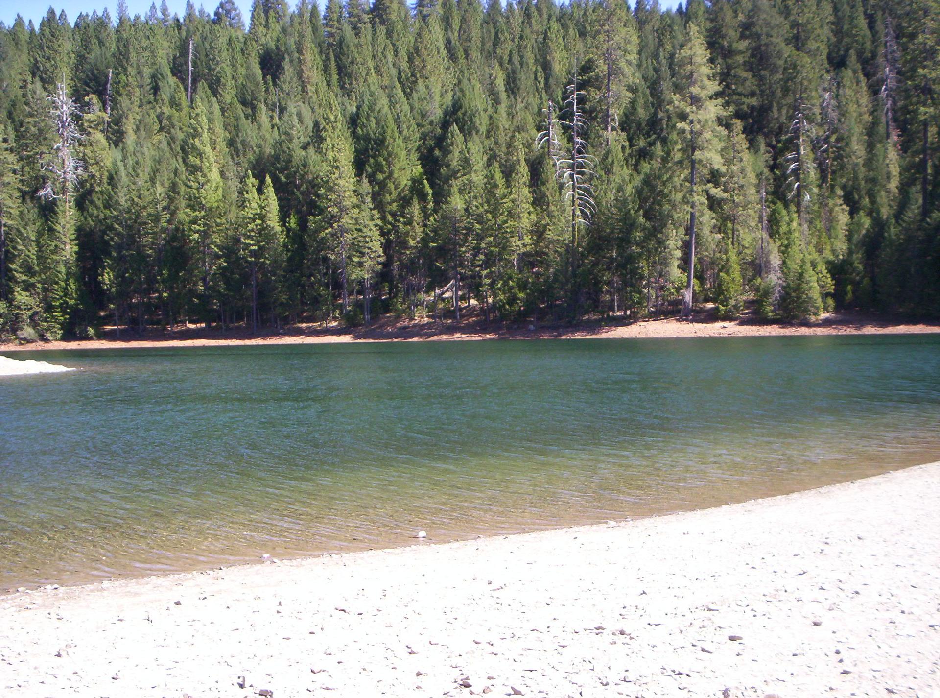 Sunny view of a calm lake with a sandy shore and dense evergreen forest.
