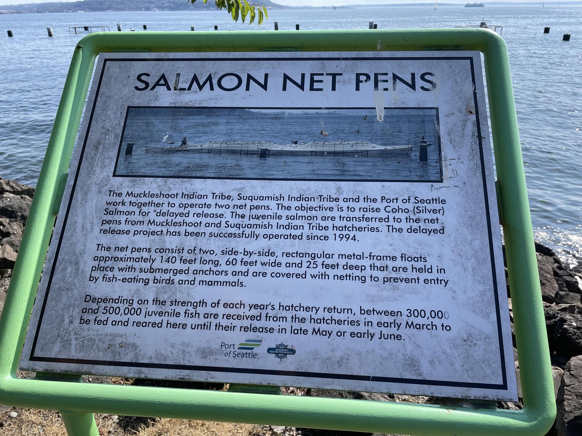 Informational sign about salmon net pens by the water on a sunny day.