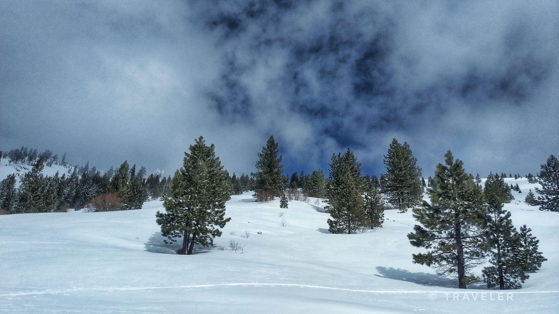 Snow-covered landscape with scattered pine trees under a dramatic cloudy sky.