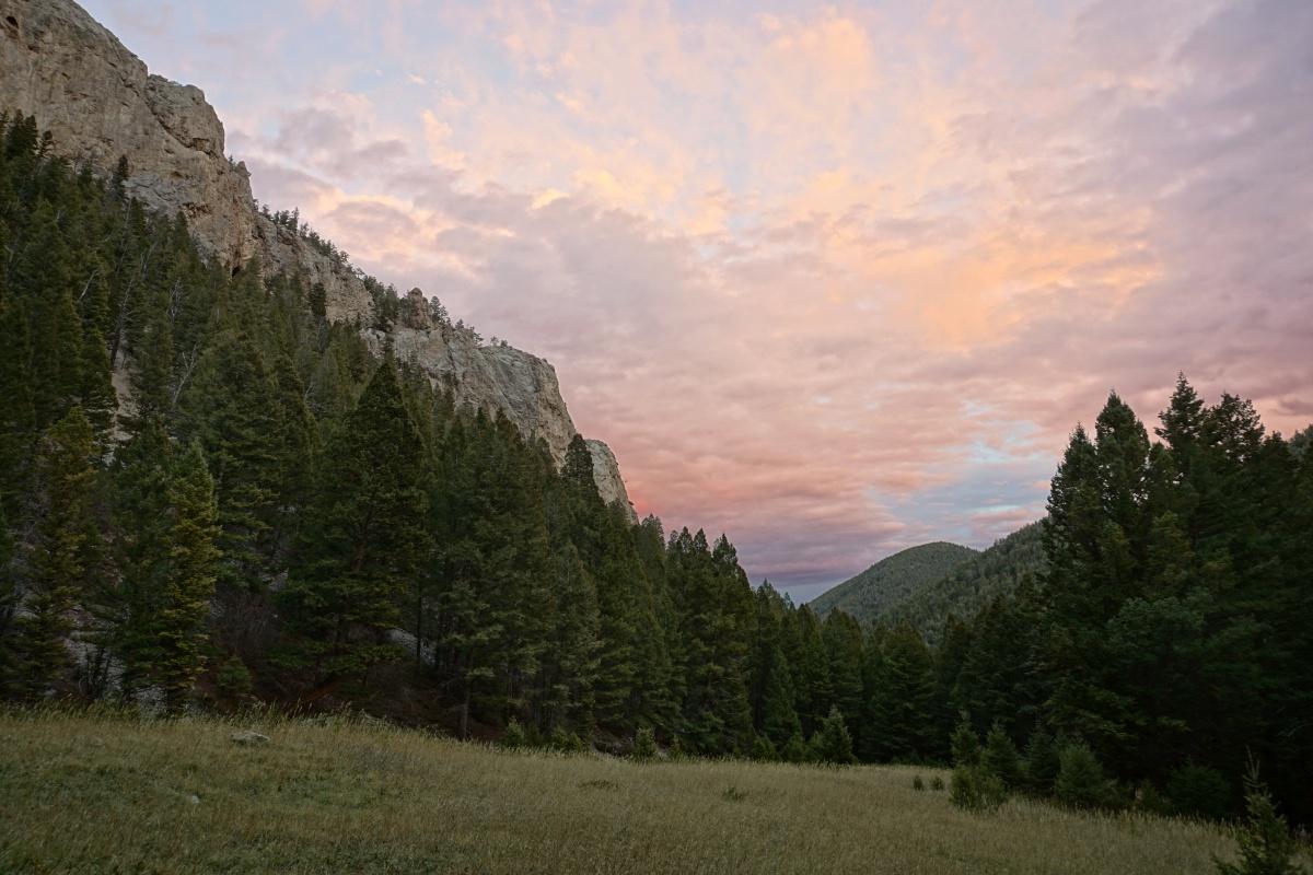 Rocky mountain cliff and evergreen forest under a colorful sunset sky.