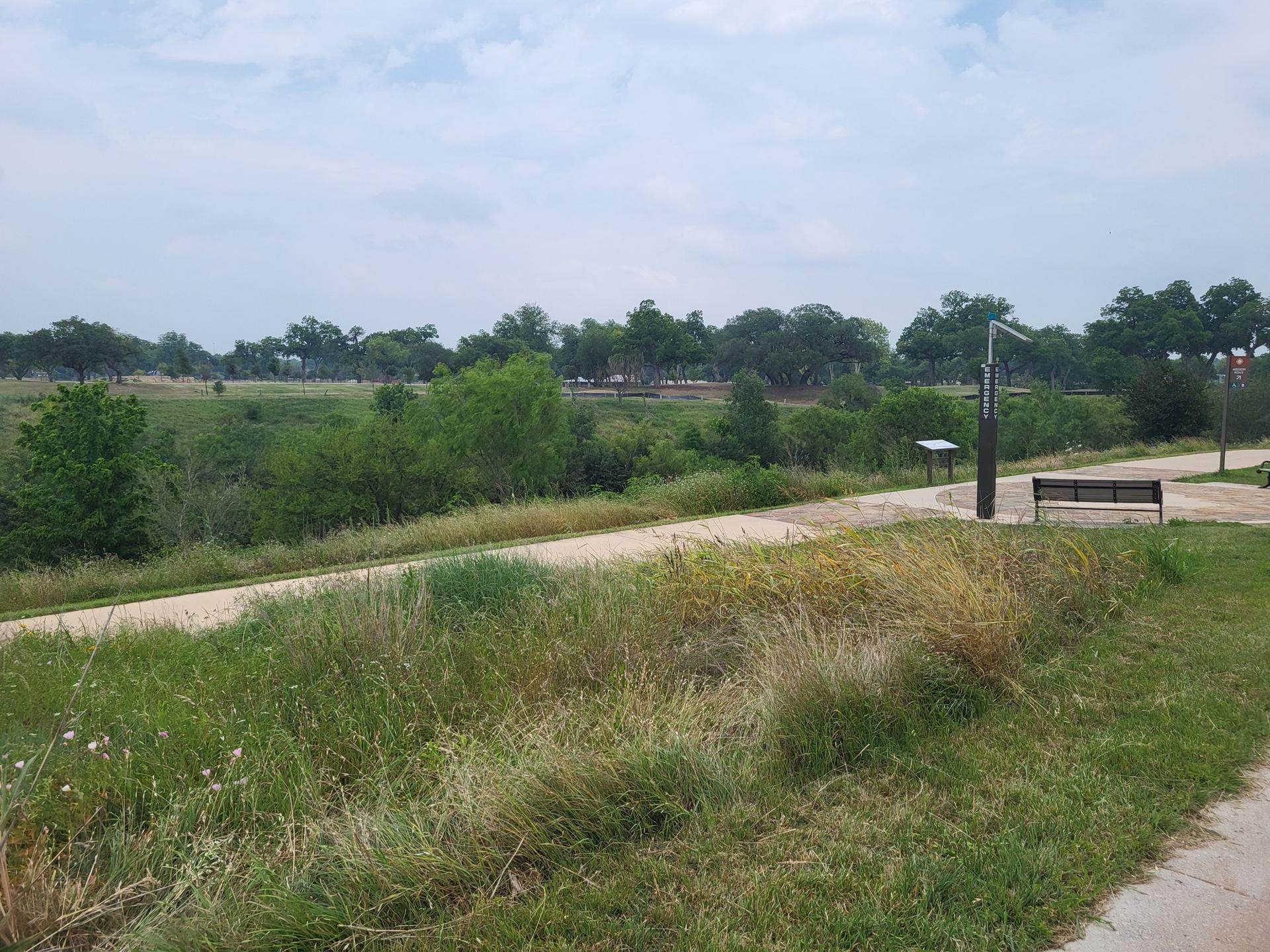 Overcast view of a wide grassy field with a paved path and bench.