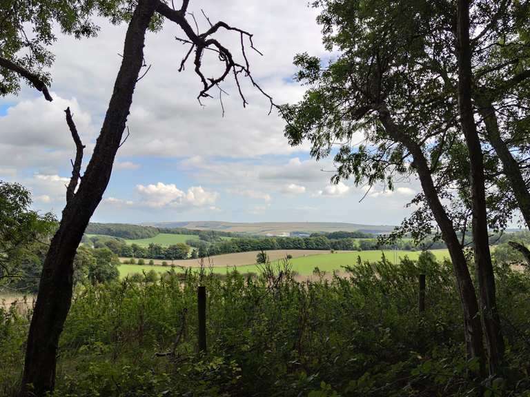 stanmer park mountain bike trails