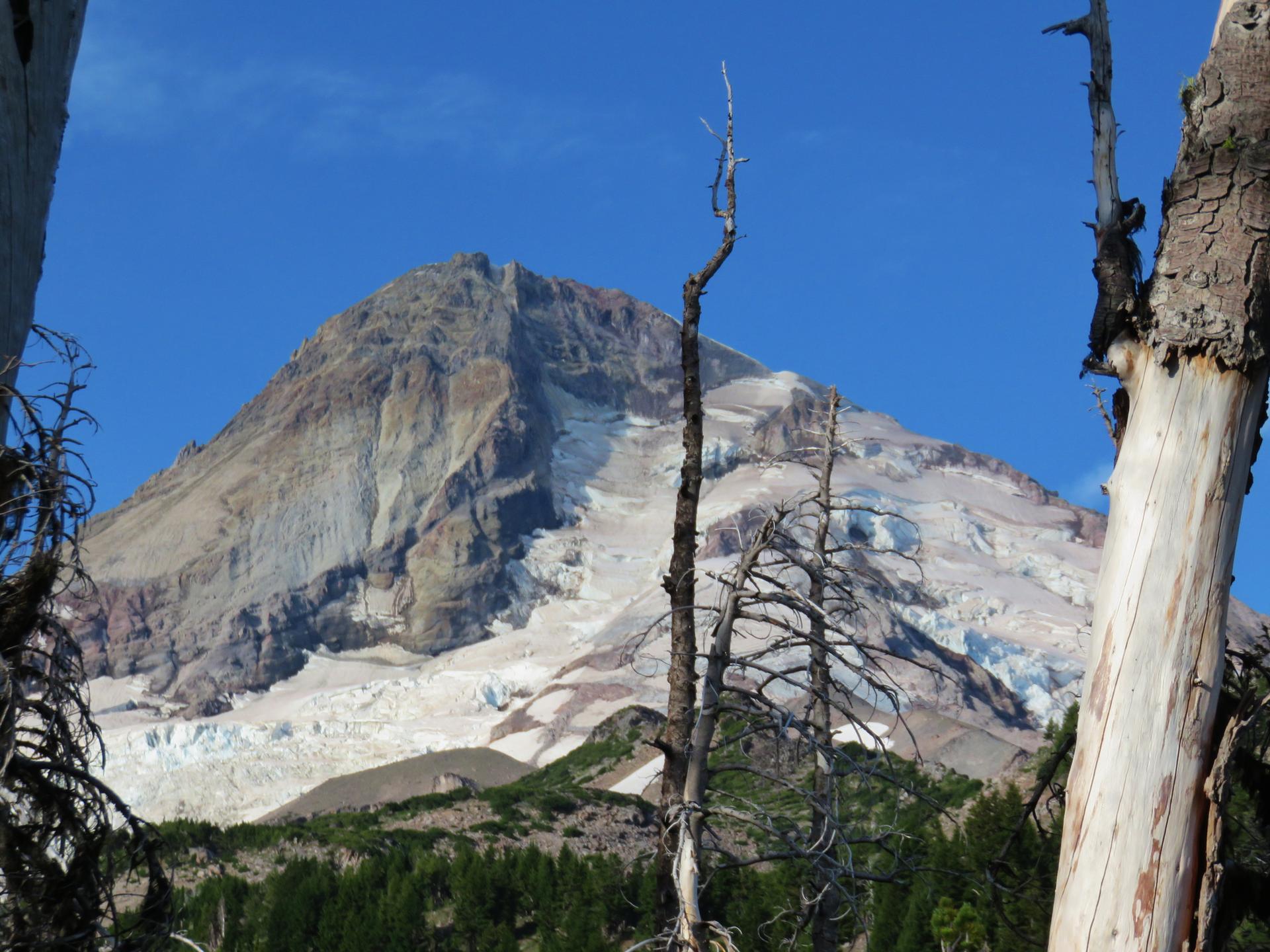 A majestic snow-covered mountain peak rises behind bare tree trunks.
