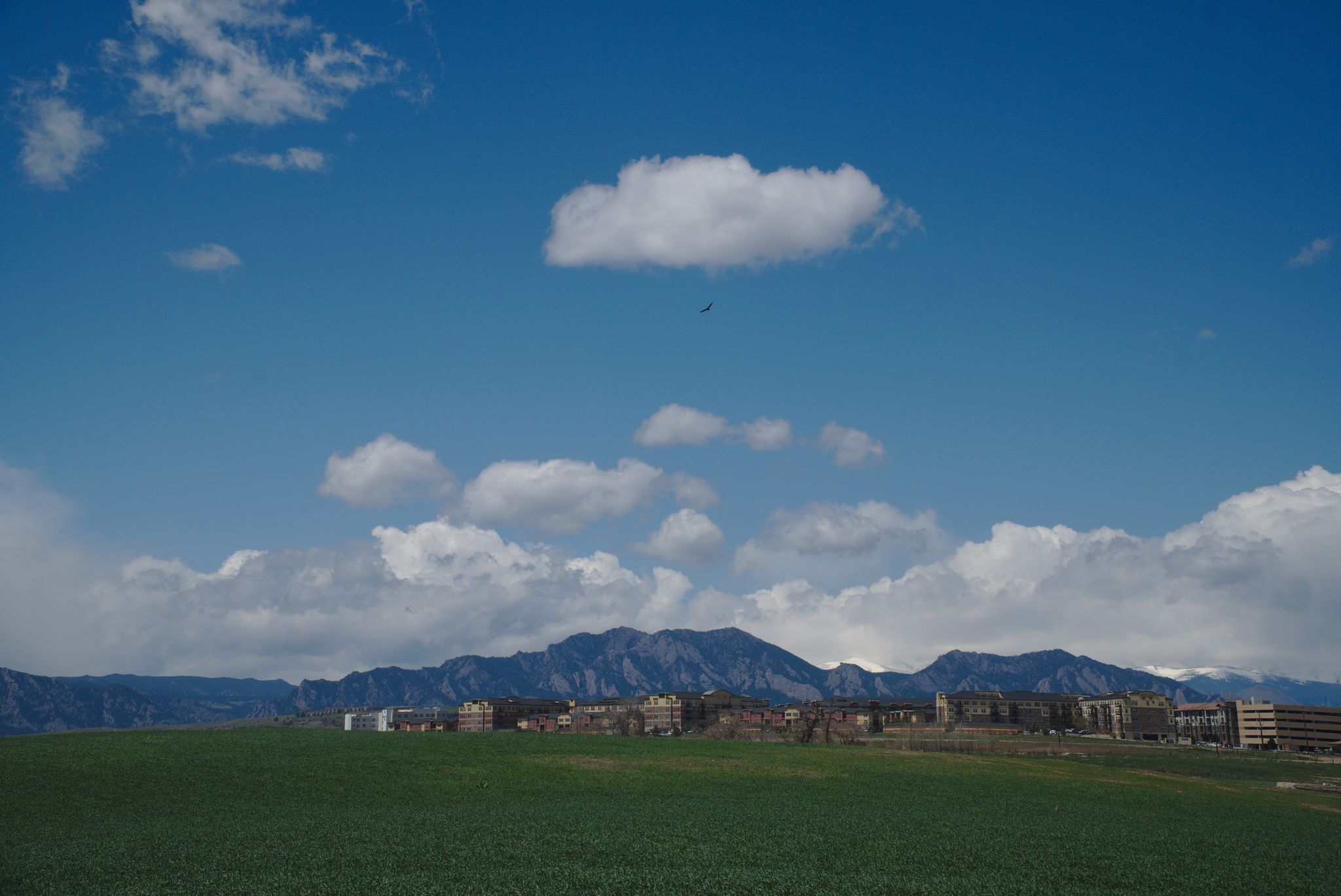 Green field, distant buildings, and mountains under a bright, cloudy sky. - Rock Creek Trail