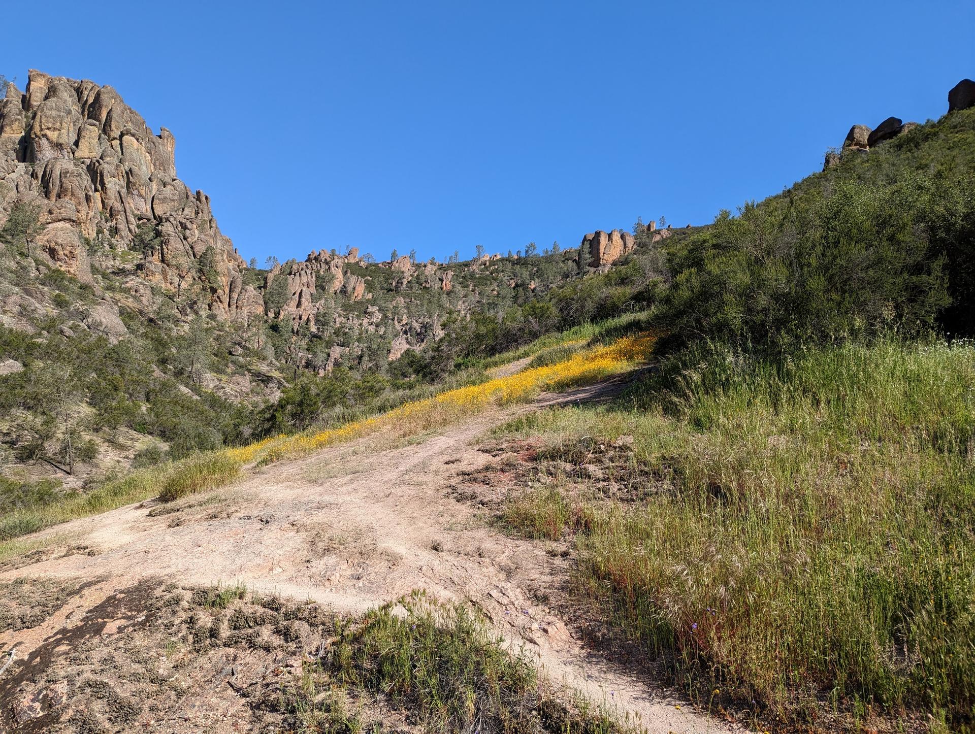 Sunny rocky hills with a dirt path and patches of yellow wildflowers.