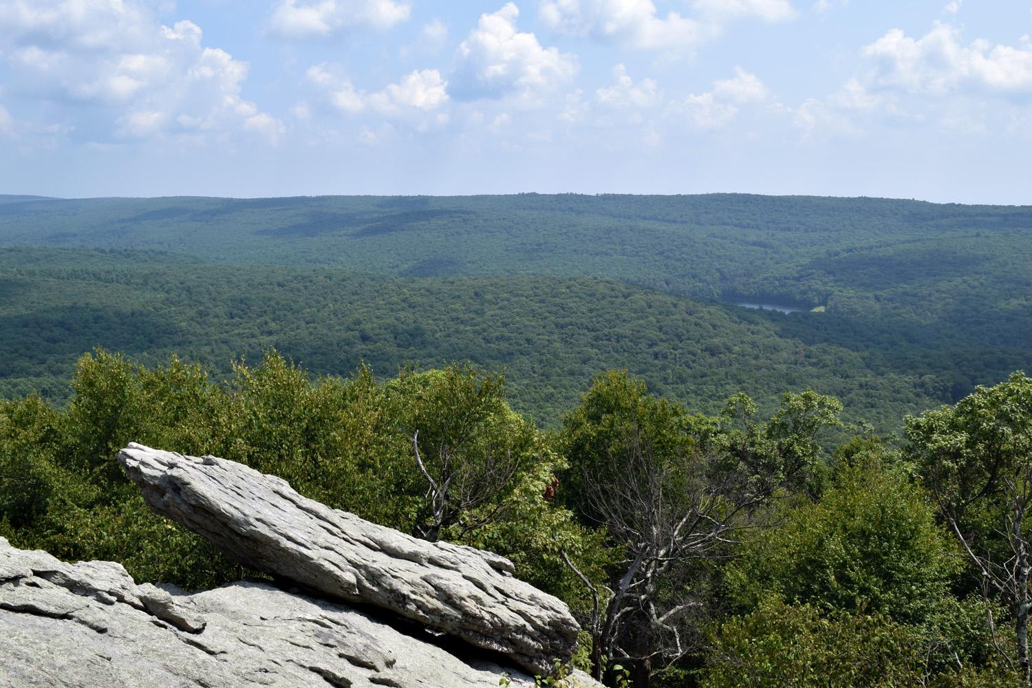 Rocky outcrop overlooking a lush green forest under a partly cloudy sky.