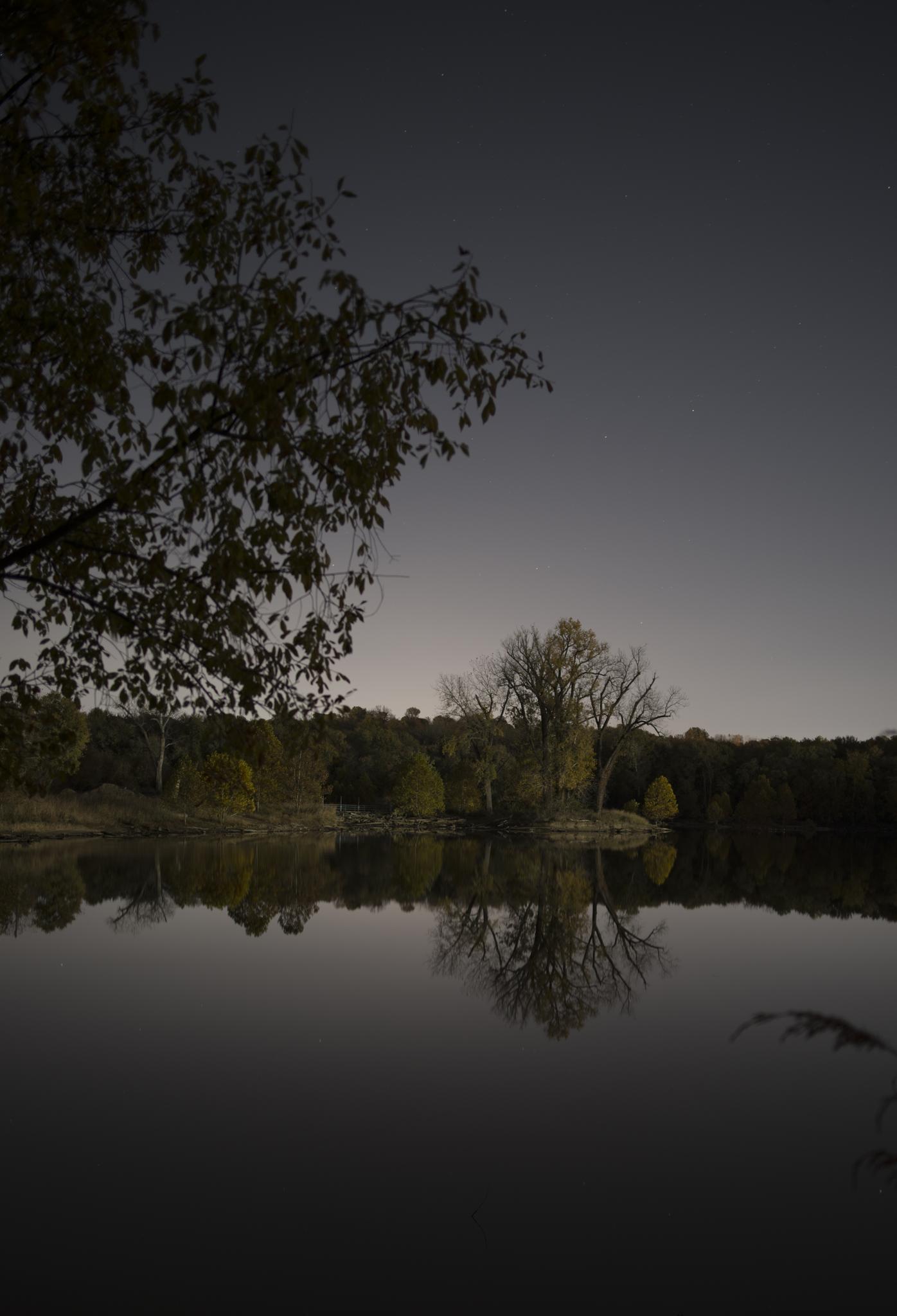 Dark, calm lake reflecting a bare tree under a dim, evening sky.