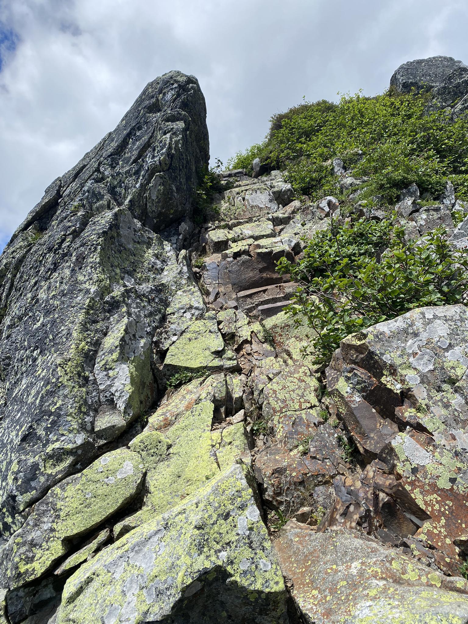 Steep, rocky mountain path with green moss and shrubs under bright sky.