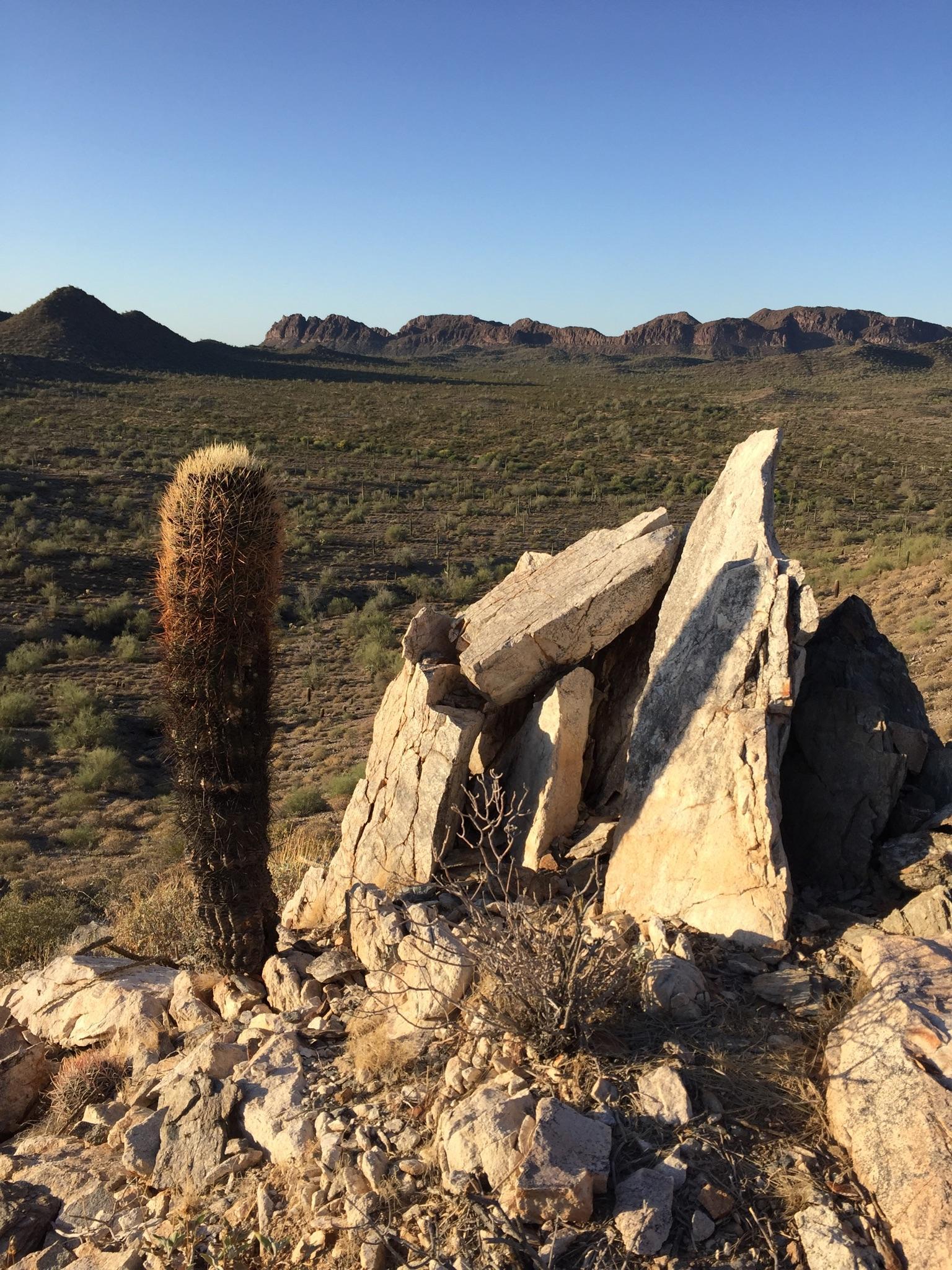 Tall cactus and rocks on a desert hilltop with distant mountains under clear sky.