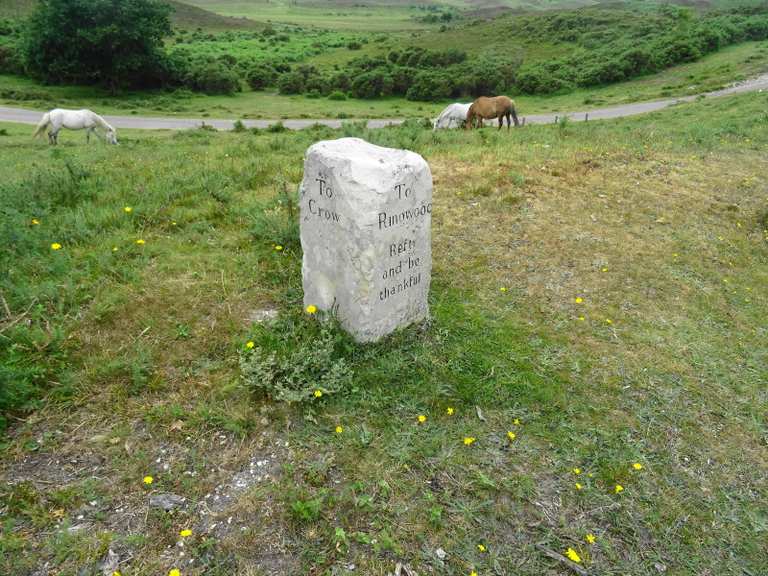 Ringwood & Burley loop from Brockenhurst — New Forest National Park
