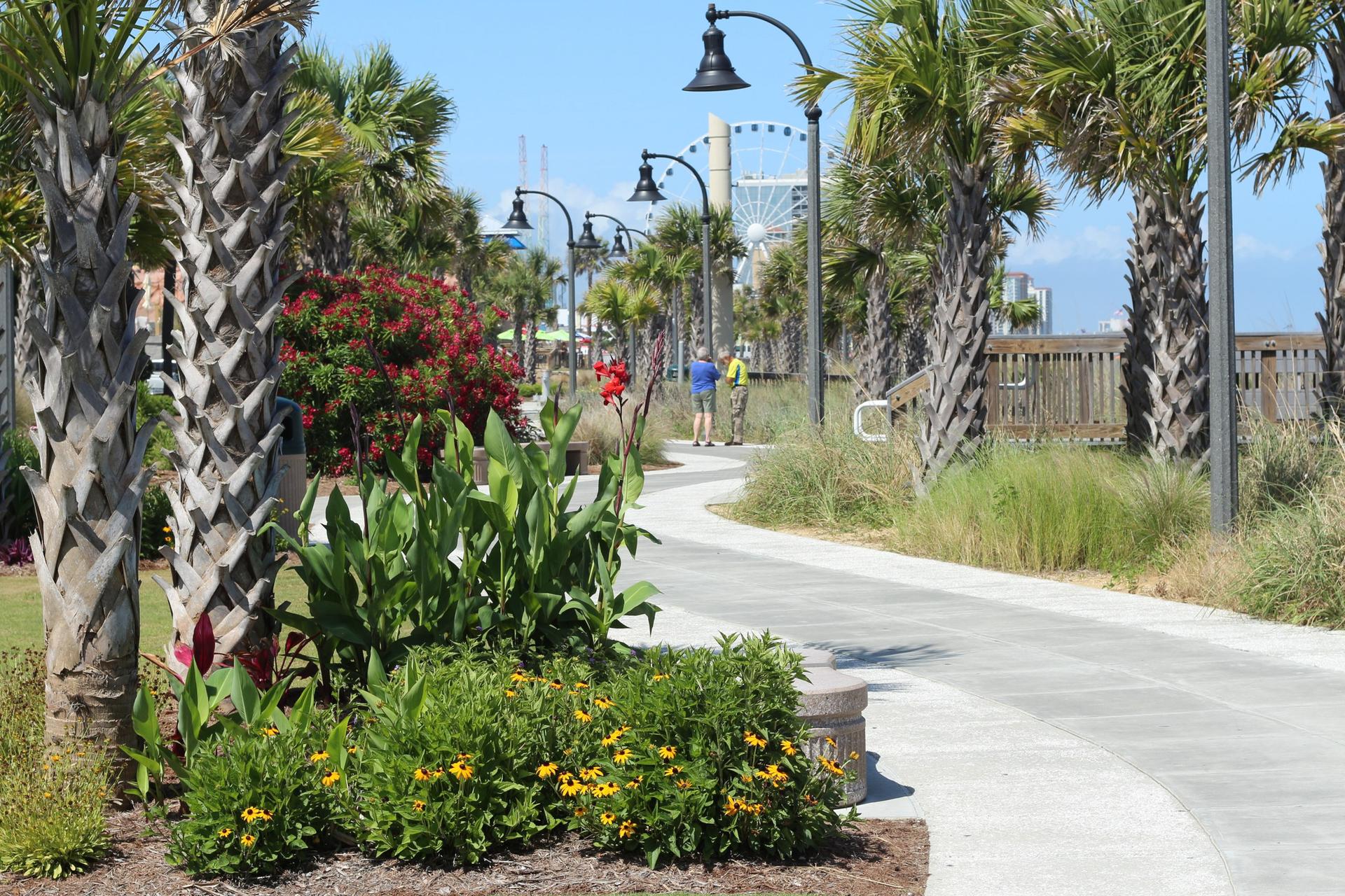 Paved path winding through palm trees and flowers, people walking.