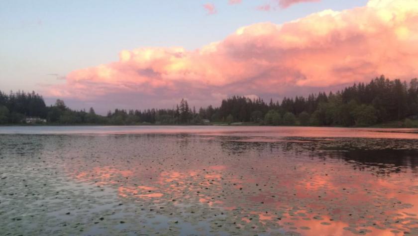Lake with lily pads reflecting a vibrant pink and orange sunset sky.
