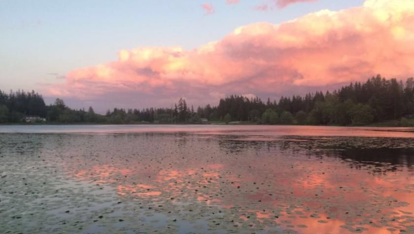 Lake with lily pads reflecting a vibrant pink and orange sunset sky. - Sunday Lake Trail